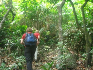 ujung kulon trekking