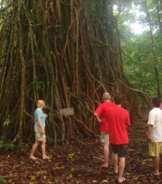 ujung kulon tour