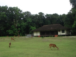 Ujung Kulon Tou Tourism, Adventure Ujung Kulon Tour, Ujung Kulon Tour, Ecotourism Ujung Kulon, Peucang Island Tour, Pulau Peucang, Krakatau Tour, Tourism Krakatoa Tour